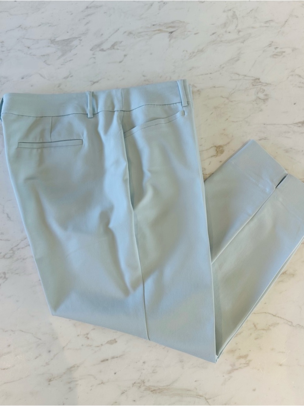 roz & Ali Light Blue Tailored Capri Pants Women’s size 18W